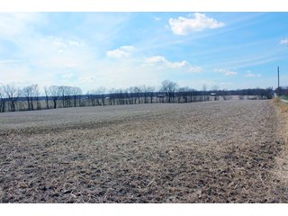 Property photo 1 - REAL ESTATE AUCTION - 17.62+/- ACRES OFFERED IN 2 TRACTS